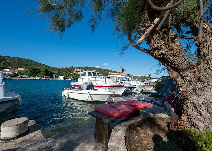 And By The Sea Zaglav, Dugi Otok - 8170